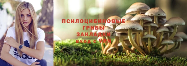 бошки Горно-Алтайск