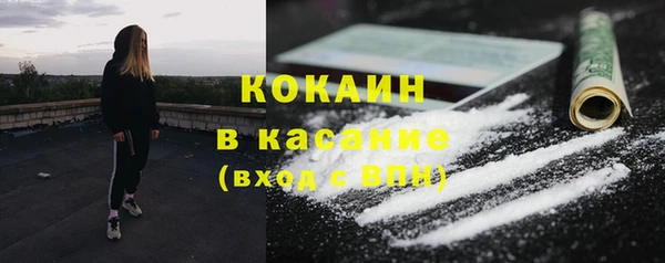 спайс Ельня