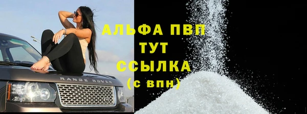 индика Елабуга