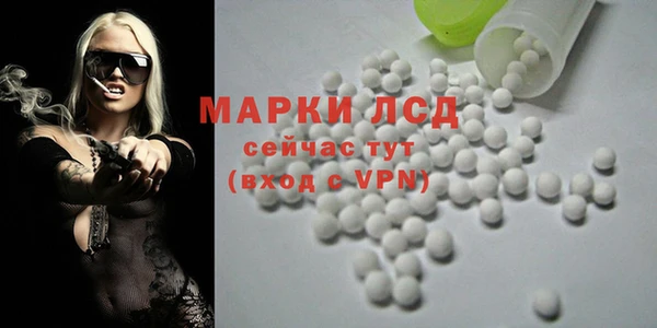 спайс Ельня
