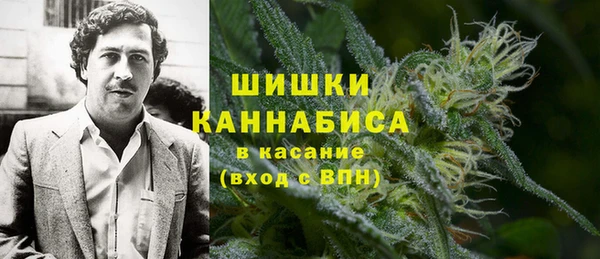 прущие грибы Горняк