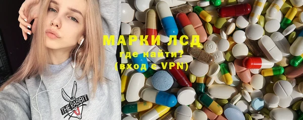 индика Елабуга