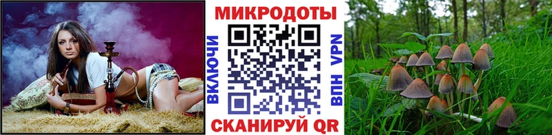 Псилоцибиновые грибы Psilocybe  Купить где  Лермонтов 